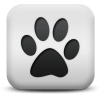 Captcha image 4562